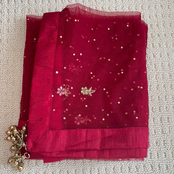 Indian Suit - Picture 8 of 12